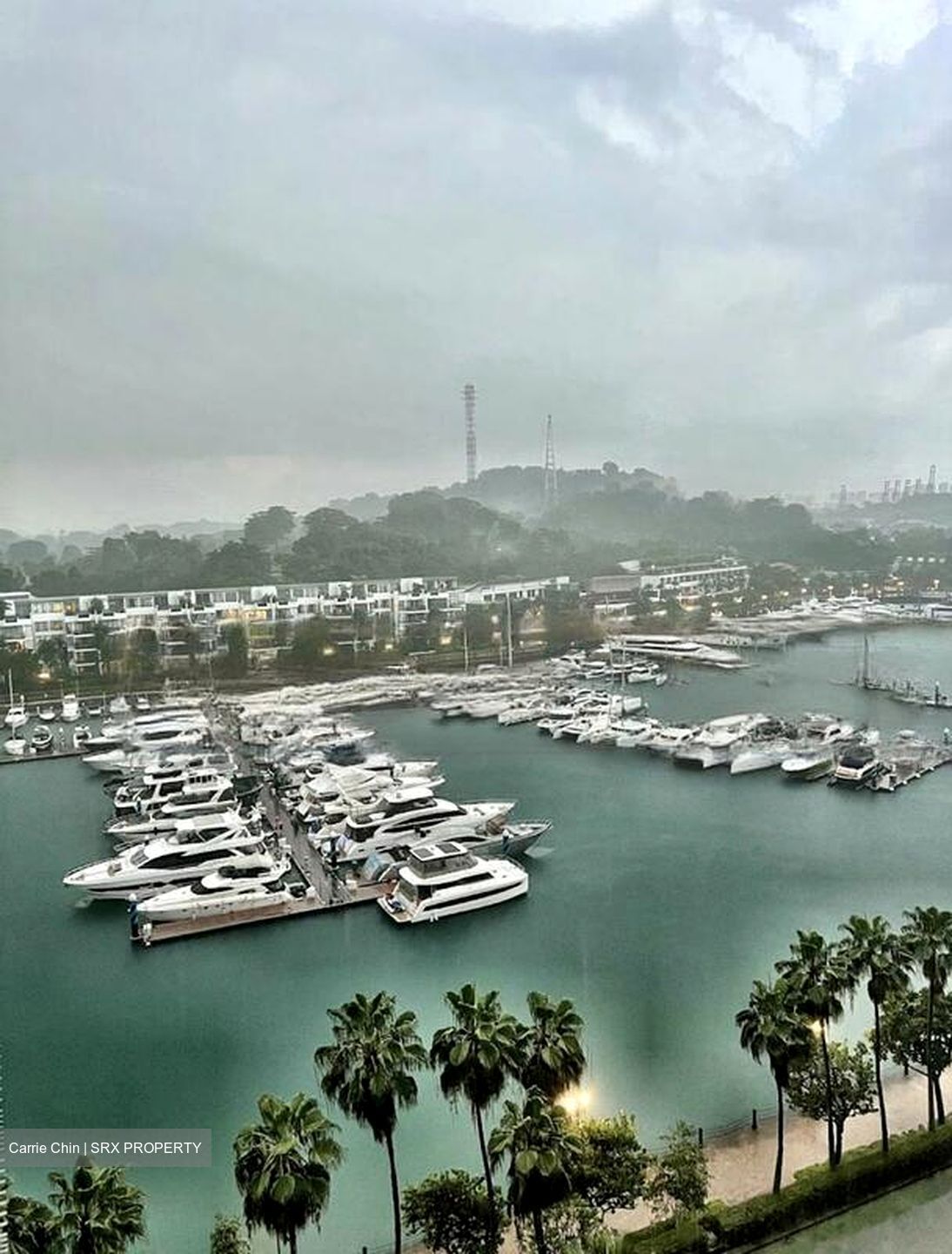 The Oceanfront @ Sentosa Cove (D4), Condominium #589391461